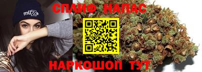 mdpv Донской