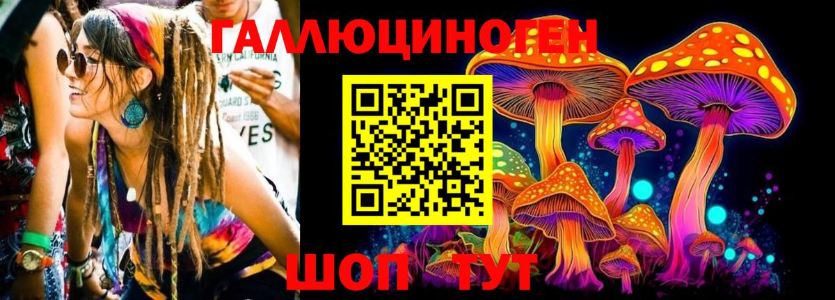 Псилоцибиновые грибы Psilocybine cubensis Назрань
