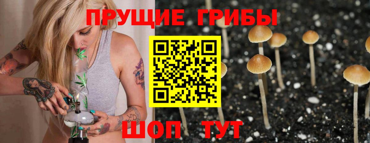 Галлюциногенные грибы Cubensis  Вход с VPN  Назрань 